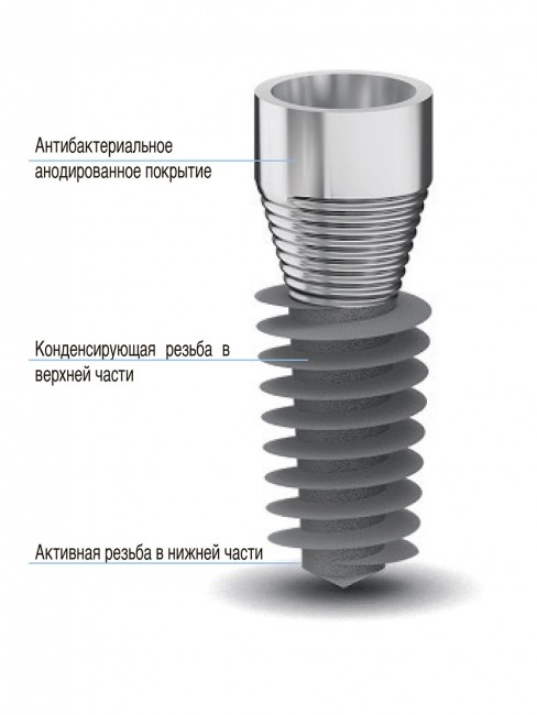 Базальный имплантат BASAL (Con-Morse)